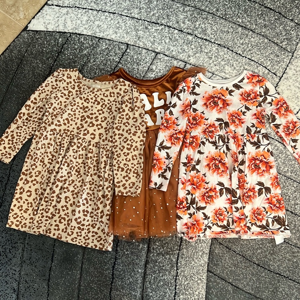 Bundle of 3 long sleeve 5t fall/winter dresses.